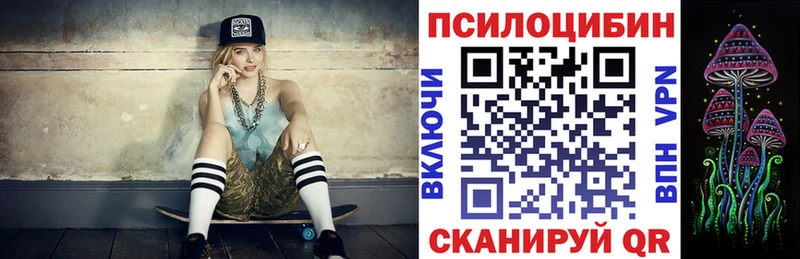 Купить  Элиста  Псилоцибиновые грибы мицелий 